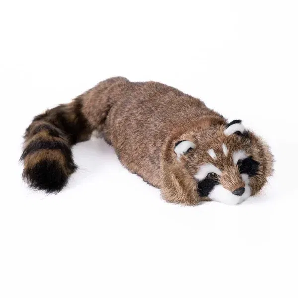 Reality Racoon Spring Animal (3) - Image 6