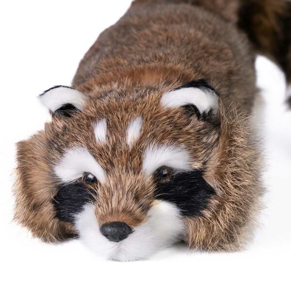 Reality Racoon Spring Animal (3)